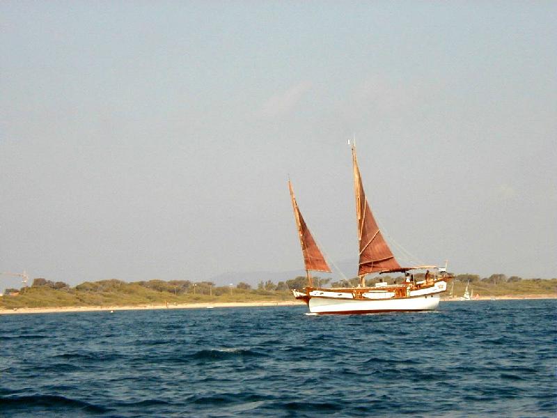 p9010003.jpg