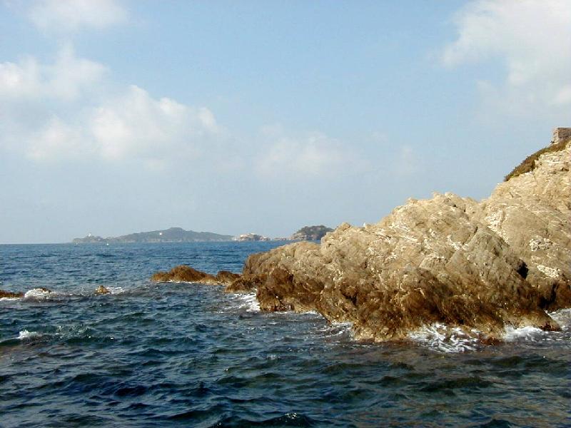 p9010007.jpg